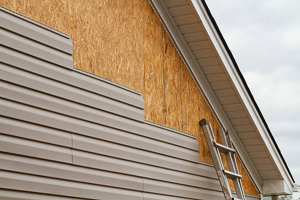 Professional Siding Inspection technician working in Port Jefferson, NY